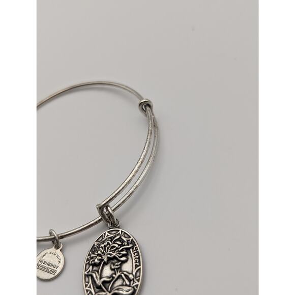 Alex and Ani Sister Charm Bracelet Irreplaceable Silver Flower Friend Forever - Picture 2 of 6